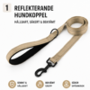 Reflekterande hundkoppel med vadderat handtag