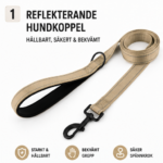 Reflekterande hundkoppel med vadderat handtag