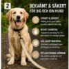 Reflekterande hundkoppel med vadderat handtag – bild 6