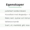 Sportarmband för Mobil – bild 9