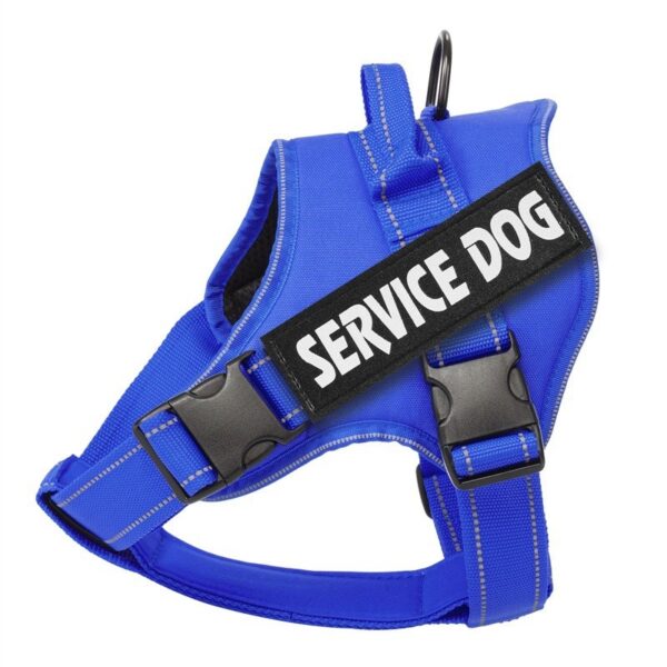 Vadderad Hundsele med Reflex & Handtag – bild 3