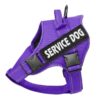Vadderad Hundsele med Reflex & Handtag – bild 5