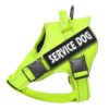 Vadderad Hundsele med Reflex & Handtag – bild 4