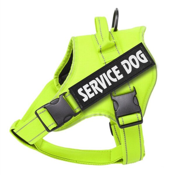 Vadderad Hundsele med Reflex & Handtag – bild 4