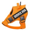 Vadderad Hundsele med Reflex & Handtag – bild 6