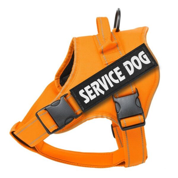 Vadderad Hundsele med Reflex & Handtag – bild 6