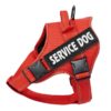Vadderad Hundsele med Reflex & Handtag – bild 2