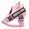 Vadderad Hundsele med Reflex & Handtag – bild 7