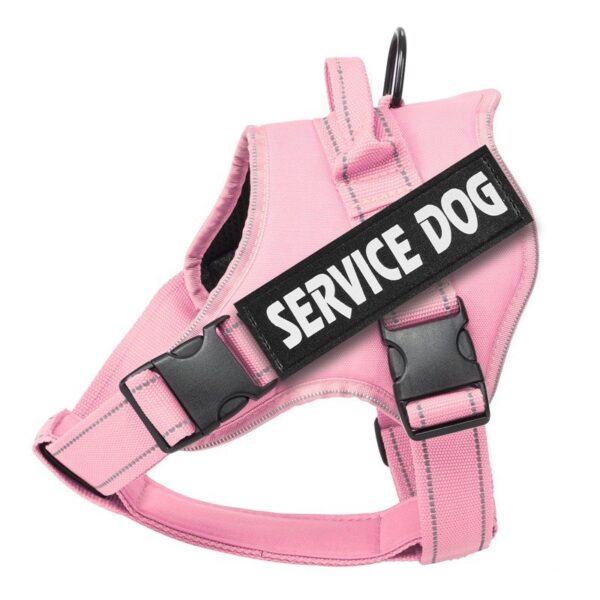 Vadderad Hundsele med Reflex & Handtag – bild 7