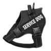 Vadderad Hundsele med Reflex & Handtag
